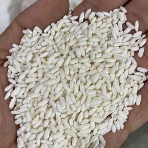Nếp Dài Hiệu Sáp Ngỗng